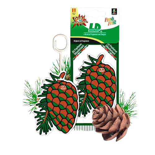 Ref.1001205-Pi