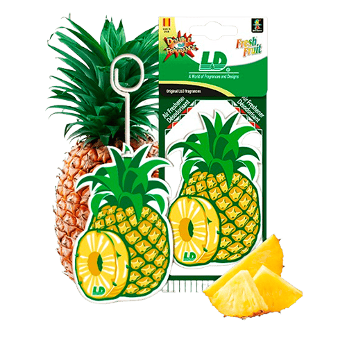 Ref.1001213-Pinya