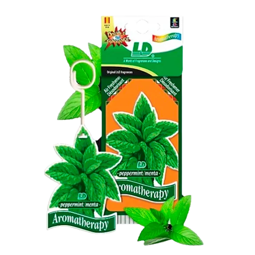 LD_Celulosa_Aromatheraphy_Menta-1001053